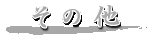 ���̑�